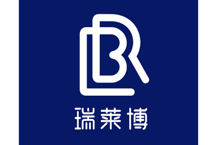 上海瑞莱博信息技术 以专业上海技术咨询赋能企业数字化转型