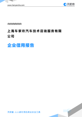 上海车家欢汽车技术咨询服务有限公司企业信用报告深度解读