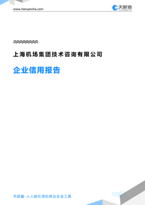上海机场集团技术咨询企业信用报告深度解读 从“天眼查”看其业务布局与信用实力